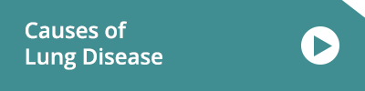Lung Disease causes Lung Disease causes